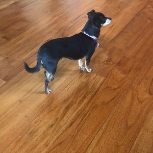 Meet your Posher, Robin